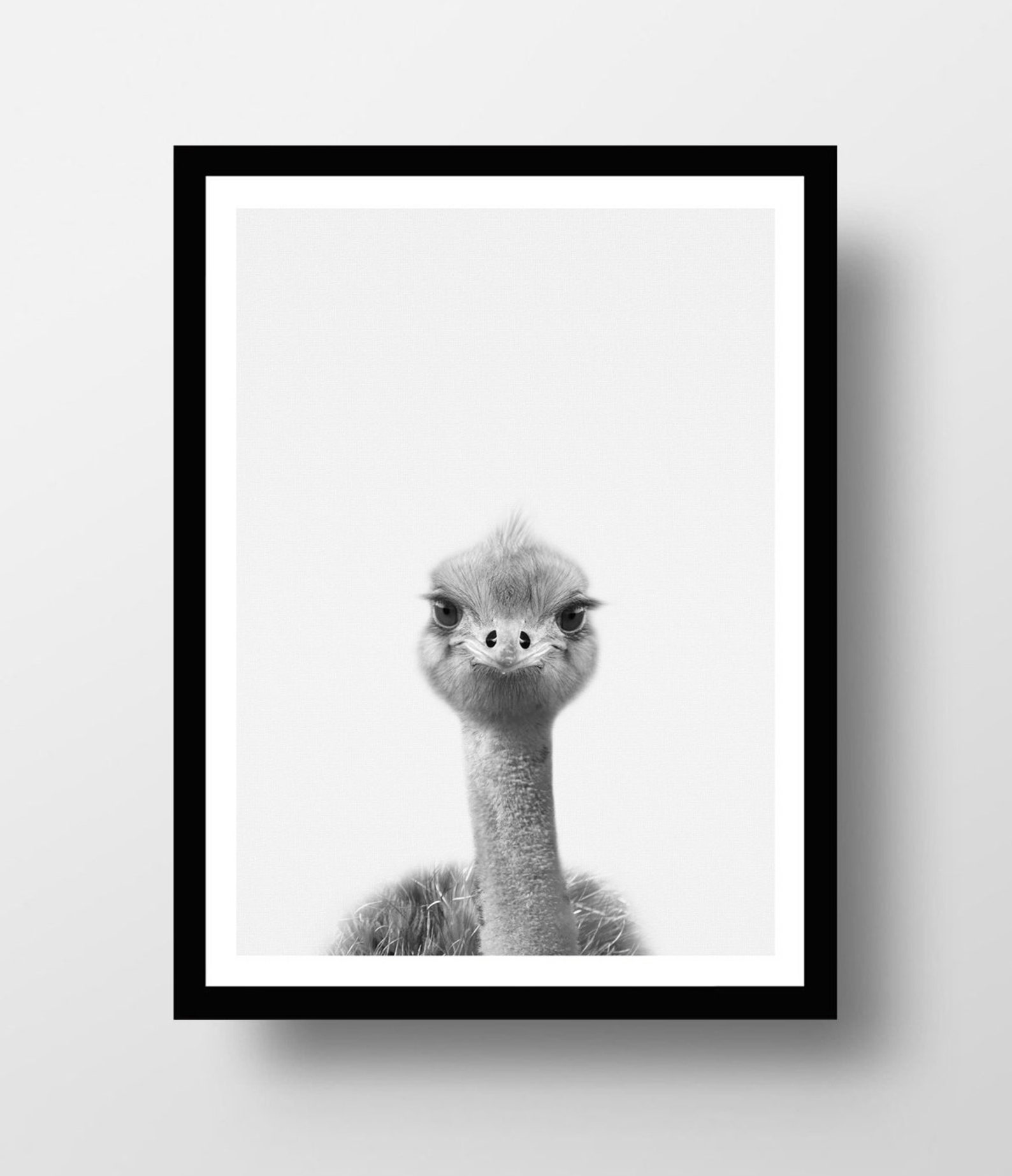 Baby Animal Prints Baby Emu Print Australian Animal Baby Etsy