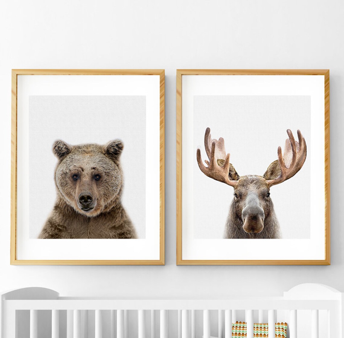 Moose Print Woodlands Nursery Boys Room Decor Nursery Etsy