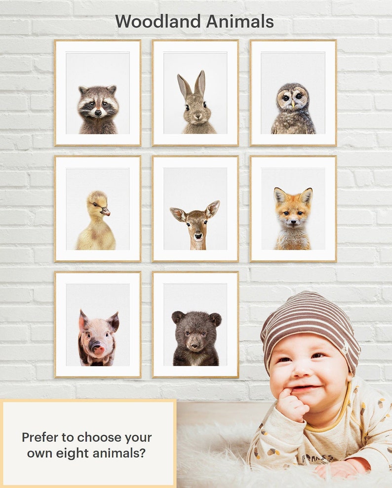 Baby Animal Prints Baby Animal Wall Art Nursery Animals Etsy