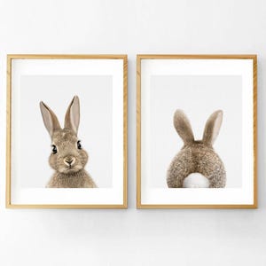 2er-Set Hasen-Drucke, DRUCKBARE Wandkunst, Babyzimmer Kunst, druckbares Poster, Kaninchen-Wandkunst, Waldkinderzimmer, 2er-Set
