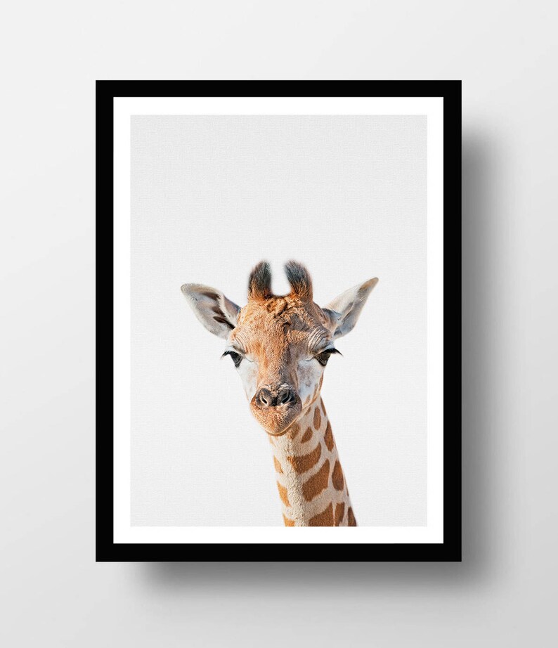 giraffe print nursery