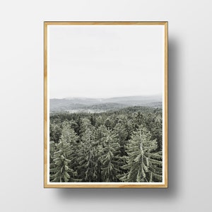 Forest Print, Forest Printable, Landscape, Fog Wall Art, Forest Poster ...