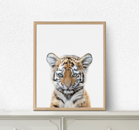 baby animal wall art