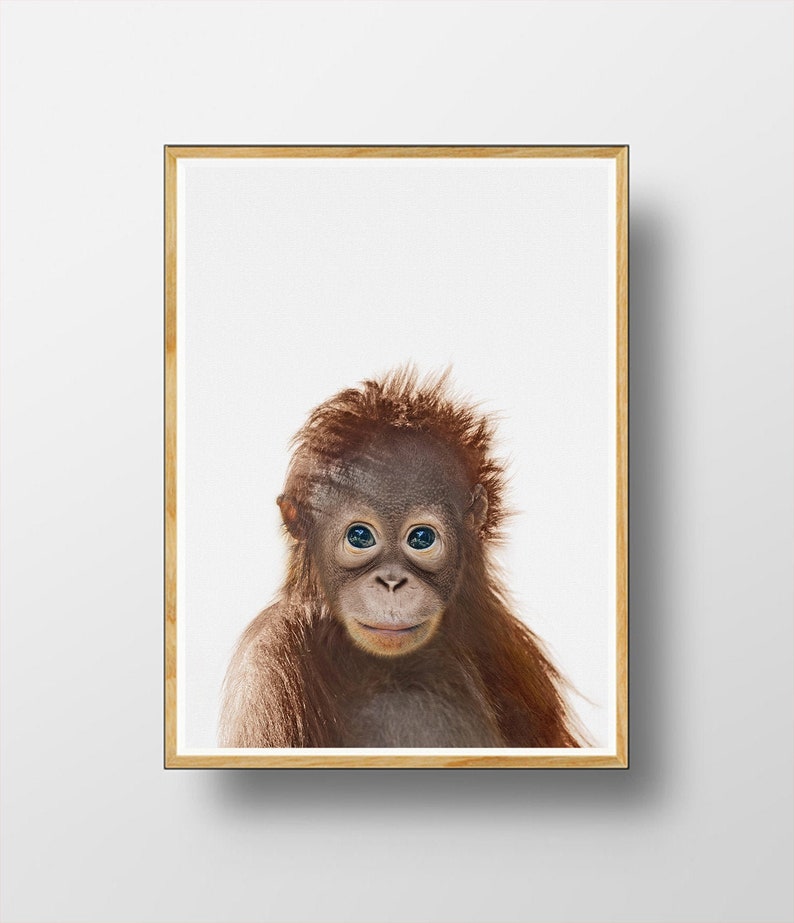 Baby Animal Safari Prints Printable Baby Animal Nursery - Etsy