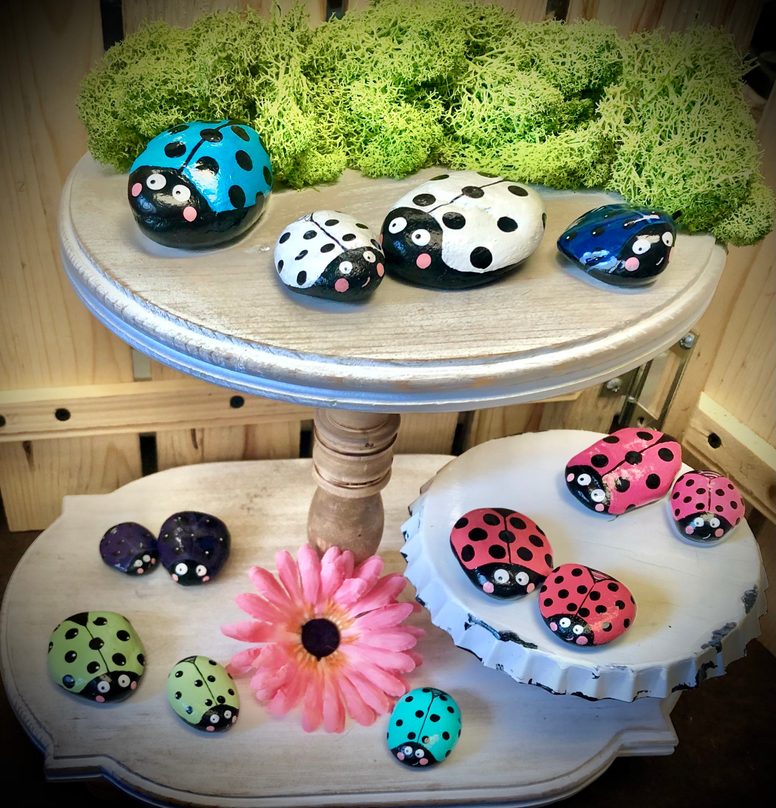 LADYBUG COUSINS, Baby Bugs, Hand Painted Rocks, Ladybugs, Garden