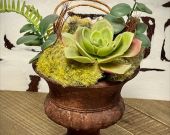 Potted, faux succulent plants in resin pots.