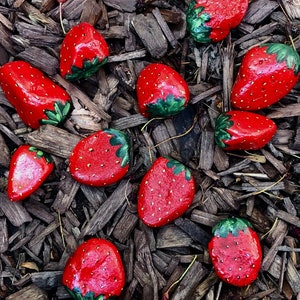 TOP SELLER. STRAWBERRY painted rocks.  *Low Shipping*. deters birds