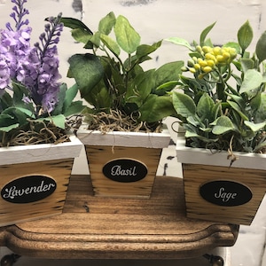 May include: Three small wooden planter boxes with white rims, each containing a different type of greenery. The boxes are labeled "Lavender", "Basil", and "Sage".