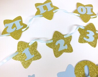 Baby Blue Gold Birthday, Twinkle Star Party, High Chair Banner, Cake Topper, Cupcake Toppers, Confetti, First Birthday, Paper Straws