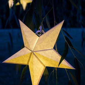 May include: A white paper star lantern with a warm glow hangs from a tree branch. The star is made of paper and has a delicate, folded design. The lantern is illuminated from within, creating a soft, warm light.