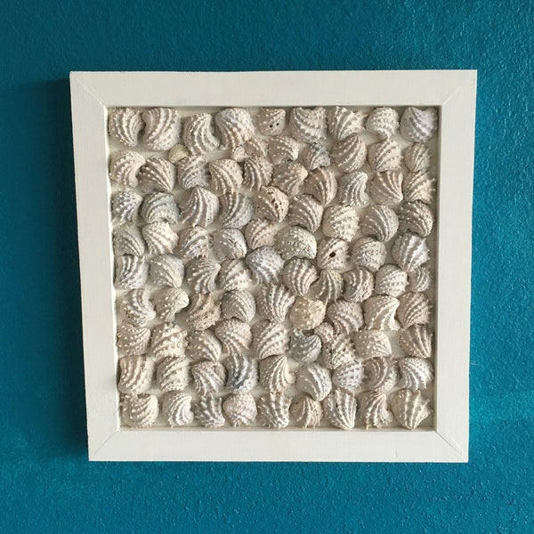 Sale!!!!  Seashell Framed Wall Décor ~ FREE SHIPPING!