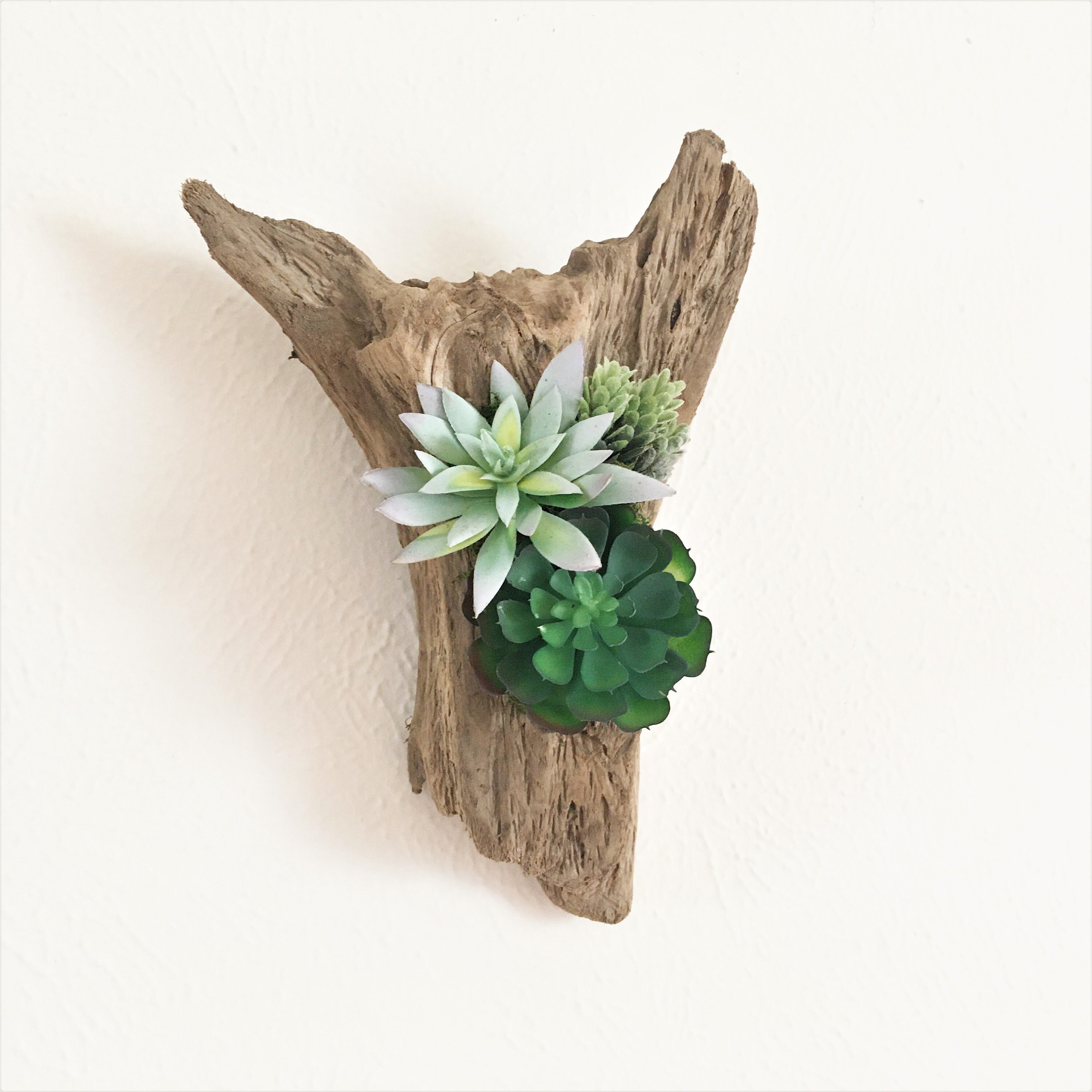 Artificial Succulent Wall Garden | Etsy