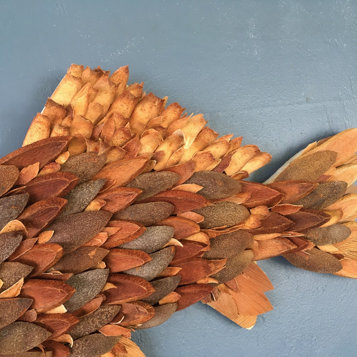 Handmade Fish wall décor Fish wall art Nautical Wall Etsy