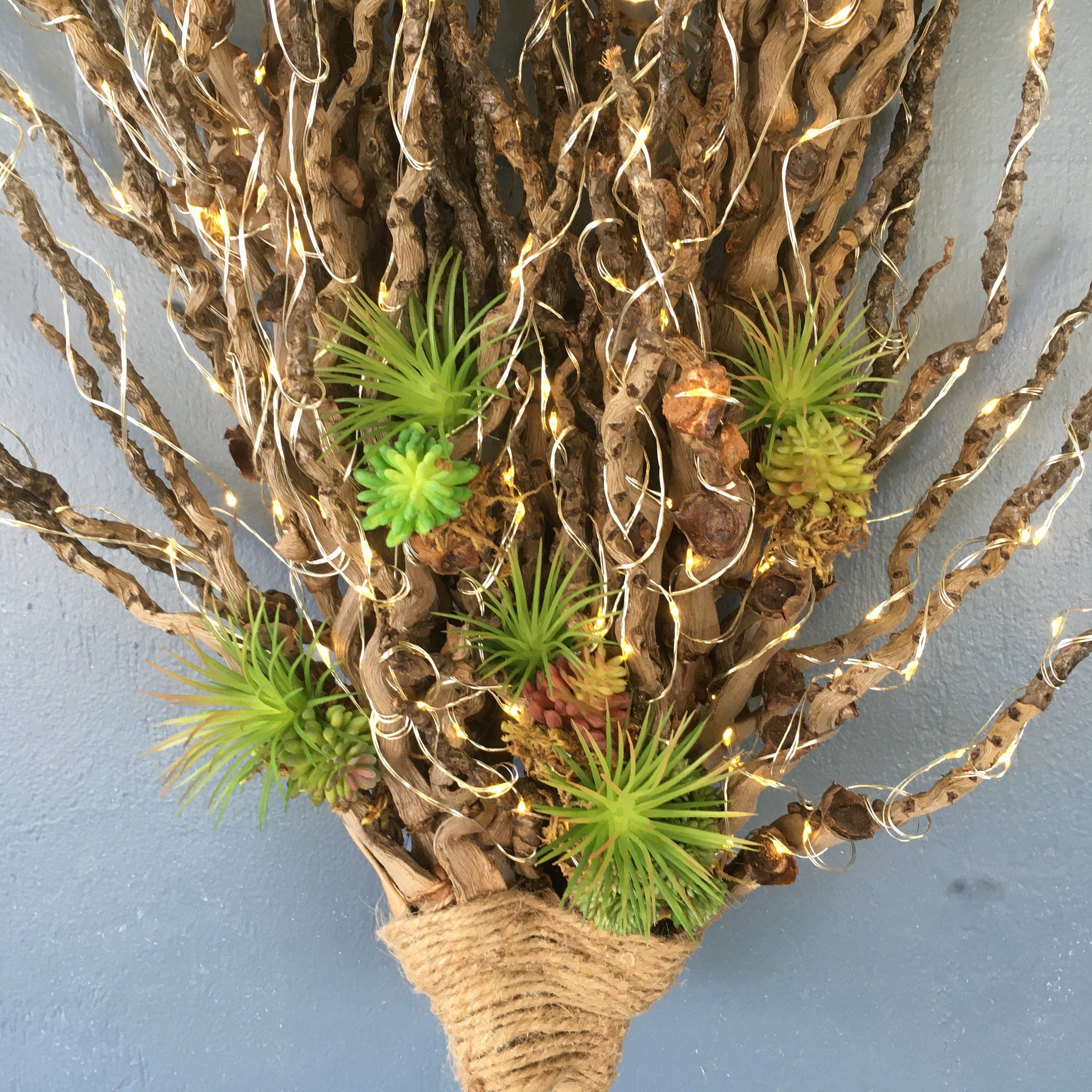 Jardín artificial de paredes suculentas con 200 bombillas | Etsy