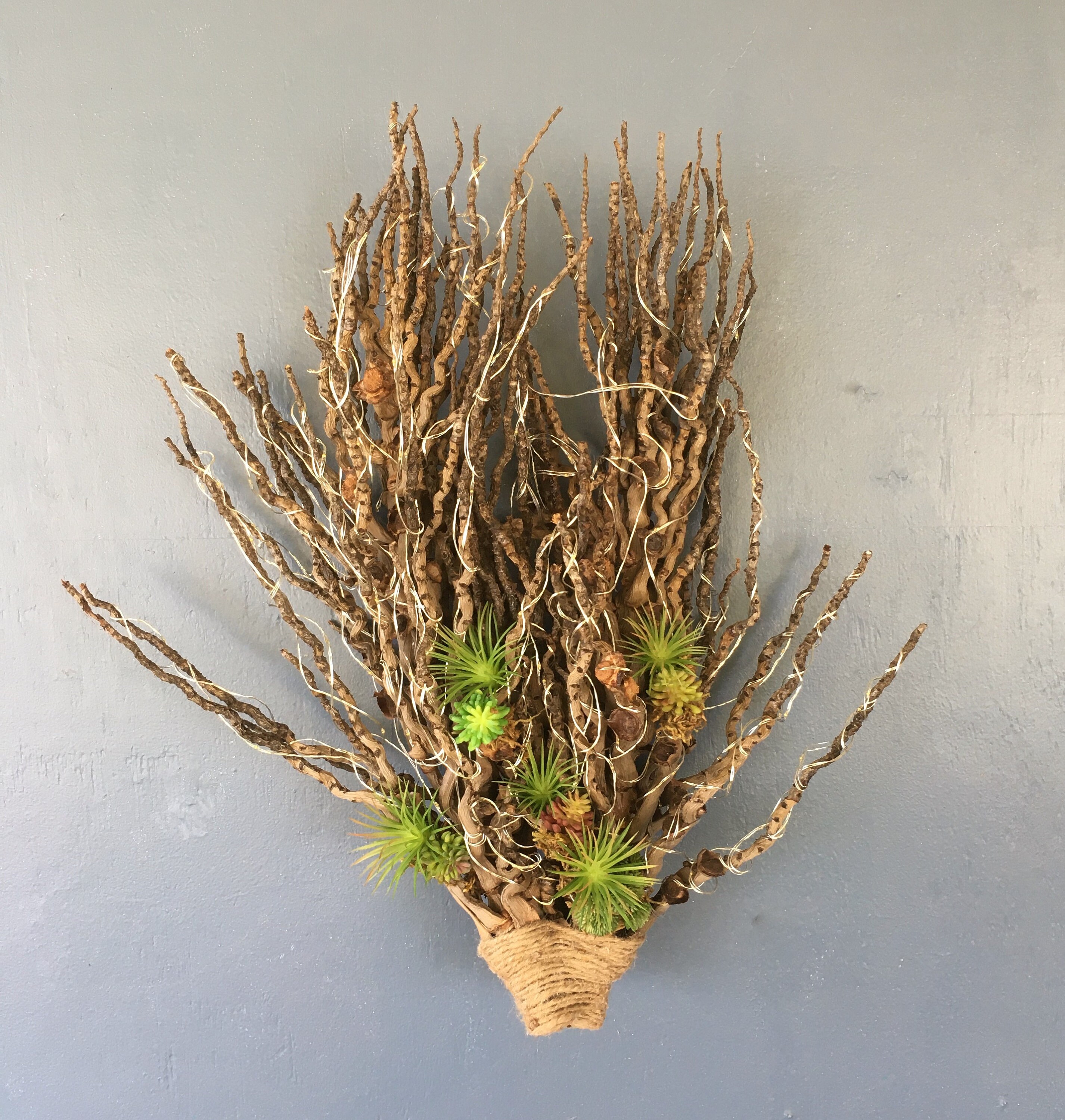 Jardín artificial de paredes suculentas con 200 bombillas | Etsy