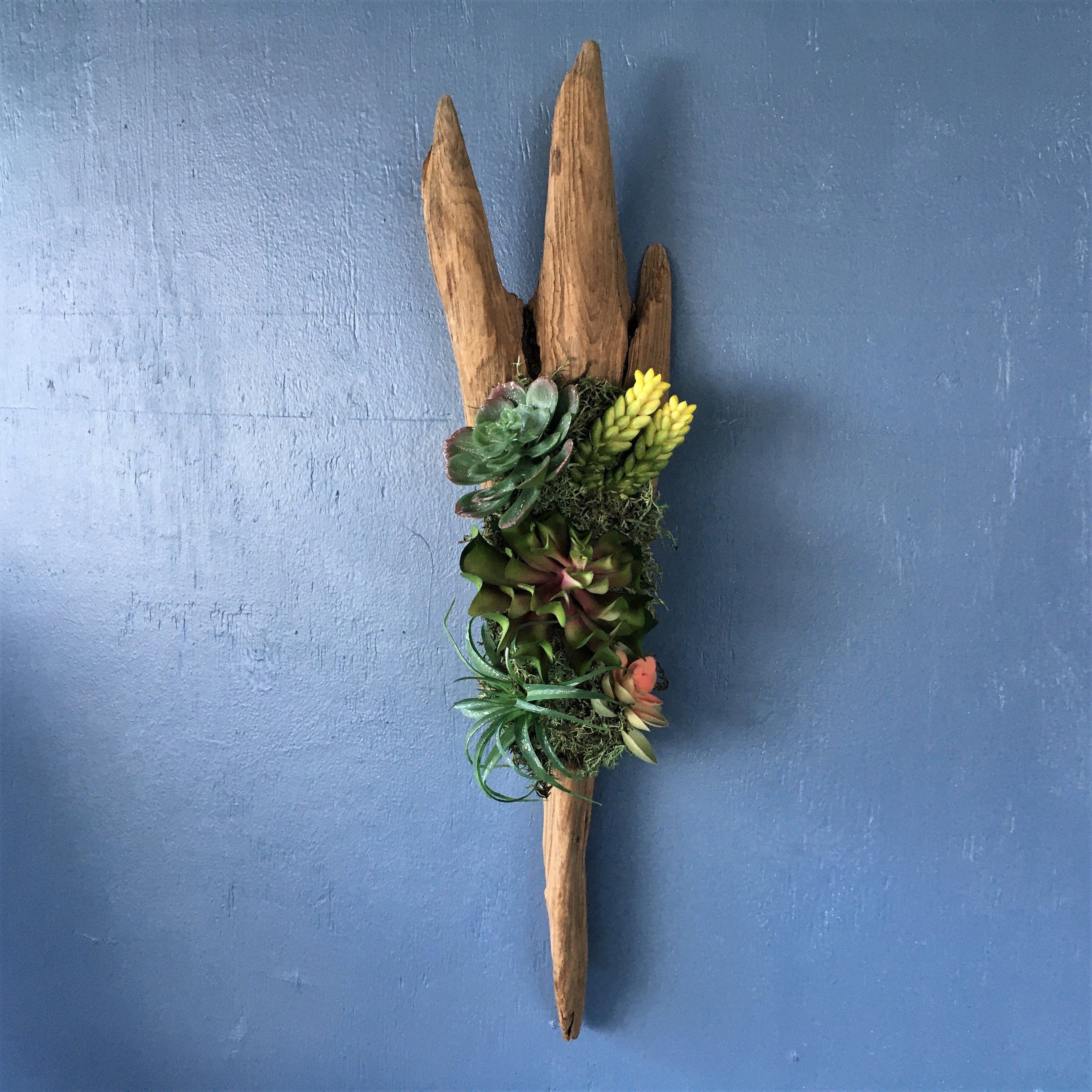 885 Jardín de pared artificial suculento jardín de pared | Etsy