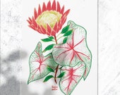 Carte postale A5 de plante