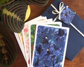 Coffret de 12 illustrations amour et nature