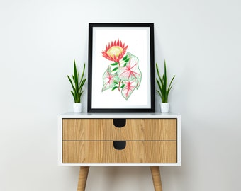 Illustration aux crayons de couleurs Protea & Caladium