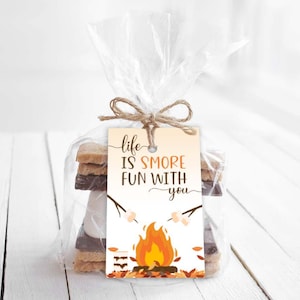 Smore Geschenkanhänger zum Ausdrucken, Life is Smore Fun With You Geschenkanhänger oder Taschendeckel, Work Is Smore Fun With You Tags