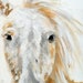 Horse Printables Set of 4 Instant Download of Original - Etsy
