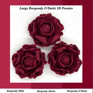 Könnte beinhalten: Drei große, burgunderfarbene 3D-Pfingstrosen. Die Blüten haben einen tiefen, satten Rotton mit detaillierten Blütenblättern. Das Bild enthält den Text "Large Burgundy (VDark) 3D Peonies".