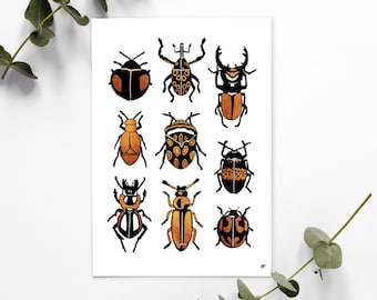 Ansichtkaart Insecten, decoratie, design, zwart en goud