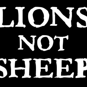 Lions Not Sheep Vinyl Decal truck bumper sticker car truck laptop fun