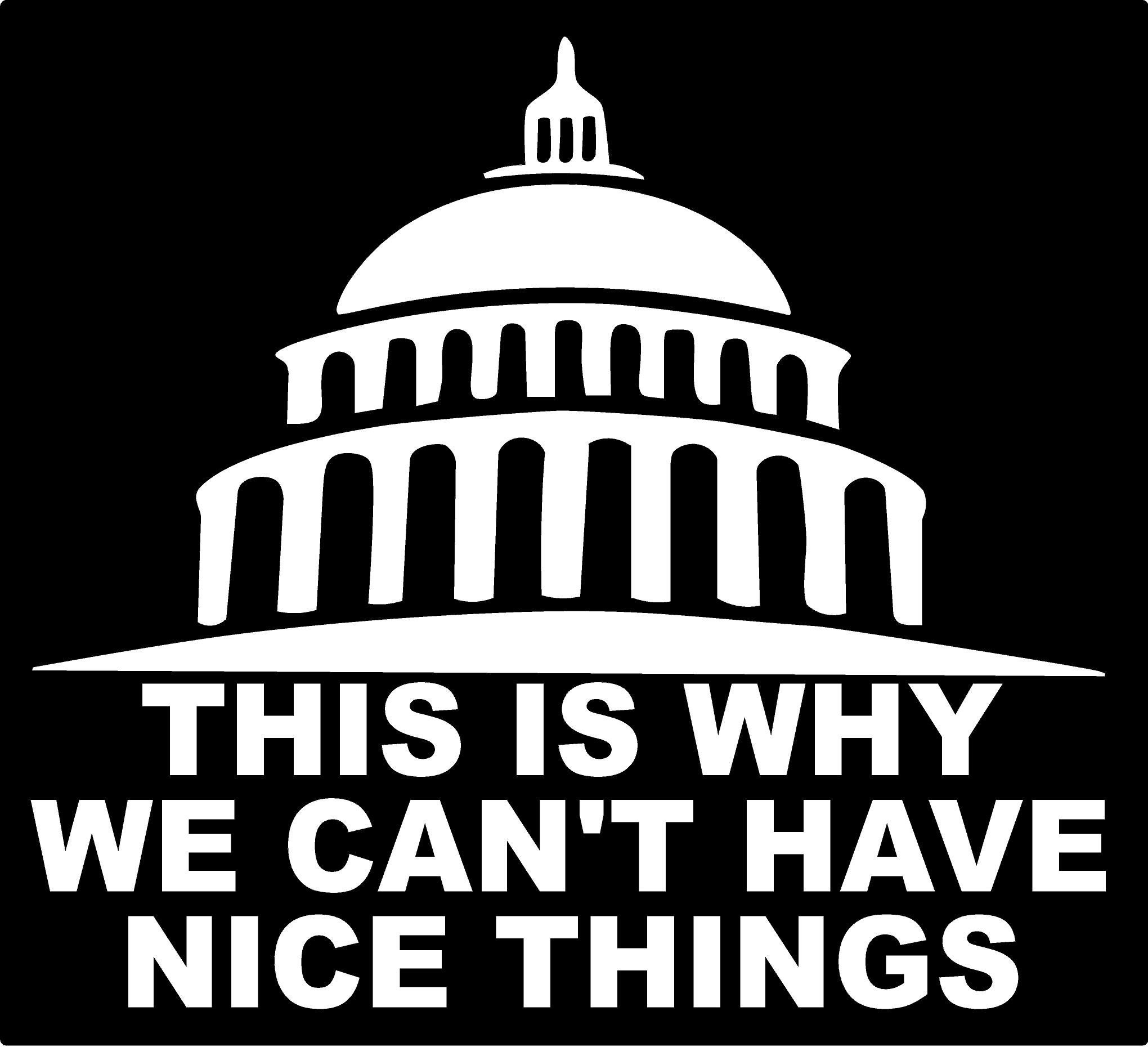 This is Why We Cant Have Nice Things Vinyl Decal Political Capital ...