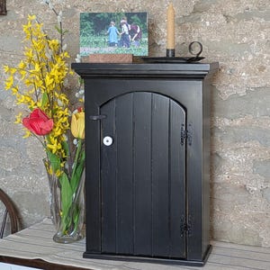 Arched Door Cabinet, Medicine Chest, Spice Cabinet,Wall Hanging Cabinet, Colour Black, white interior.