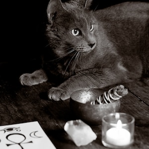 Witch&#39;s Familiar - Photographic Print, Wall Art, Home Decor, Pagan, Wicca, Cat, Goth, New Age, Fine Art