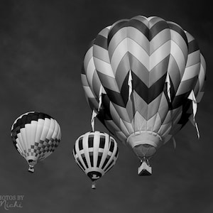 Hot Air Balloons - Black and White, Photo, Wall Art, Home, Office, Fine Art, Flying, Flight