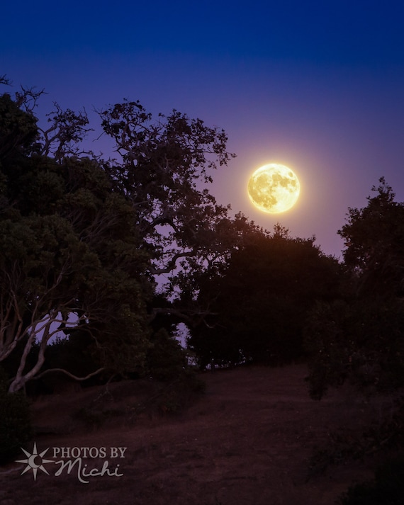 Harvest Moonrise - Photographic Print on Archival Paper. Moon. Photography. Night. Home Decor. Fine Art.