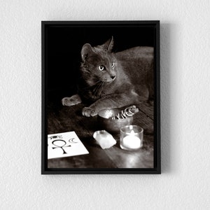 Hexe vertraut - Kunstdruck. Wandkunst. Druckbare. Digitaler Download. Wicca. Heide. Hexe. Katze. Okkulten. Goth dunkel.