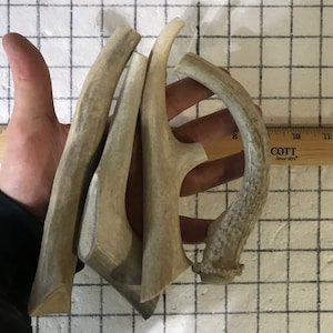 4 pack antler dog chew/dog treats