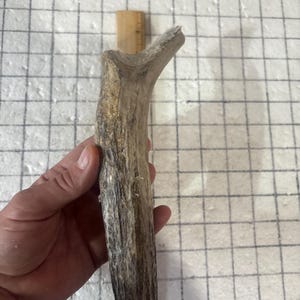 1 Fuzzy/velvet elk antler dog chew