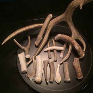 May include: A collection of antler dog chews of various sizes and shapes, arranged on a black circular tray. The antlers are a natural brown color and have a rough texture.