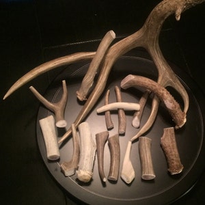 1ld or 2lbs of deer antler dog chews