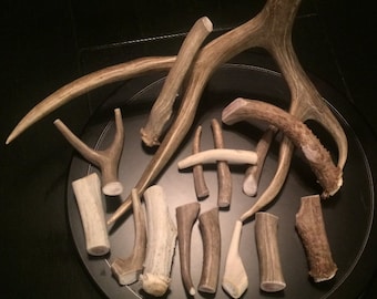Deer Antler Dog Chews – 1 lb or 2 lb Bags | Natural, Long-Lasting, Healthy Treats
