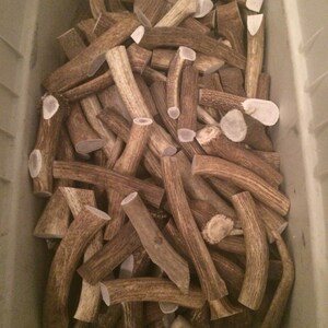 Bulk antler dog chews. 10lbs