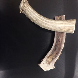 2 pack Split deer antler