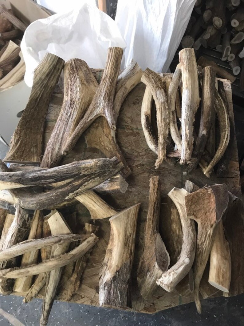 elk antler velvet for dogs