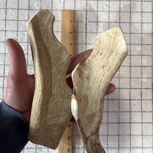 Medium Fallow Deer Antler Dog Chews (2 Pack) | Healthy Natural Dog Treats | Long Lasting Antler Bones for Chewers