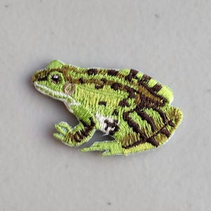 May include: Embroidered patch of a frog in shades of green and brown. The frog is in a side profile, with detailed stitching creating a textured appearance. The patch is likely for clothing or accessories.