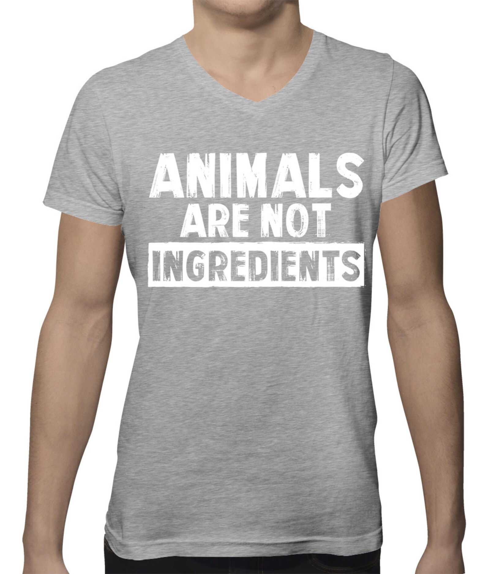 Animals Are Not Ingredients Lifestyle Choice Veganism Etsy