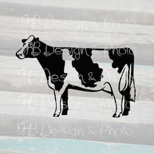 Dairy Cow Vector/Raster- SVG, PNG, JPG