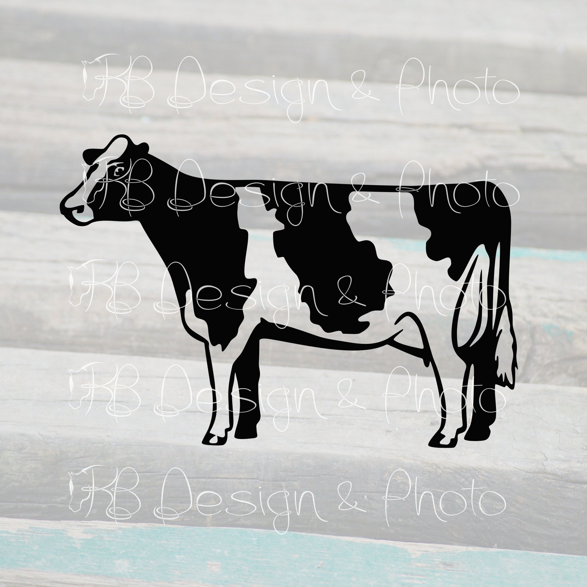 dairy cow vector