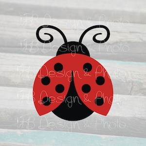 Ladybug Vector/Raster- SVG, PNG, JPG