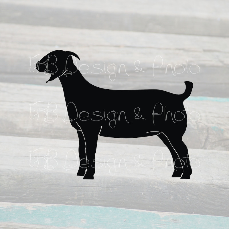 Vector Show Goat Show Goat Silhouette - Etsy