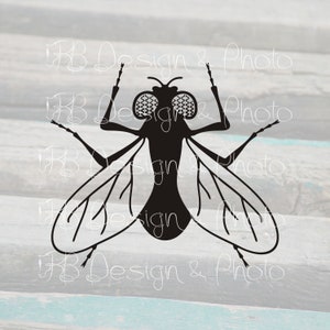 Fly Vector/Raster- SVG, PNG, JPG